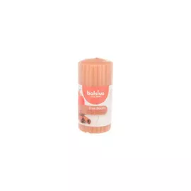 BOLSIUS Свеча арома True scents яблоко с корицей 262