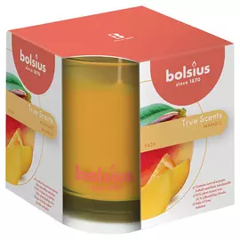 BOLSIUS Свеча в стекле арома True scents манго 798