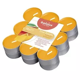 BOLSIUS Свечи чайные арома Bolsius True scents манго 245