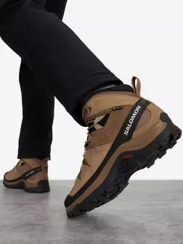 Ботинки мужские Salomon Quest Rove GTX, Бежевый