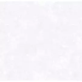обои ATELIERO виниловые на флизелиновой основе 10,05х1,06м, арт.58257-01