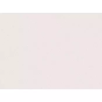 обои ANTURAGE виниловые на флизелиновой основе 10,05x1,06м, арт.AN8890-03