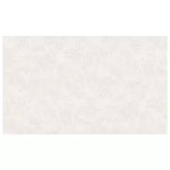 обои АРТЕКС виниловые на флизелиновой основе 10,05х1,06м, арт.10535-02