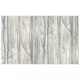 обои АСПЕКТ Deluxe виниловые на флизелиновой основе 10,05х1,06м, арт.70392-44