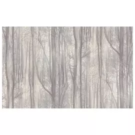 обои АСПЕКТ Deluxe виниловые на флизелиновой основе 10,05х1,06м, арт.70392-65