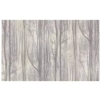 обои АСПЕКТ Deluxe виниловые на флизелиновой основе 10,05х1,06м, арт.70392-65