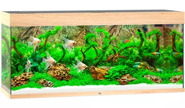 Аквариум Juwel Rio 240 Led 2х29W Bioflow M нагреватель 200w 121х41х55 светлое дерево (1 шт)