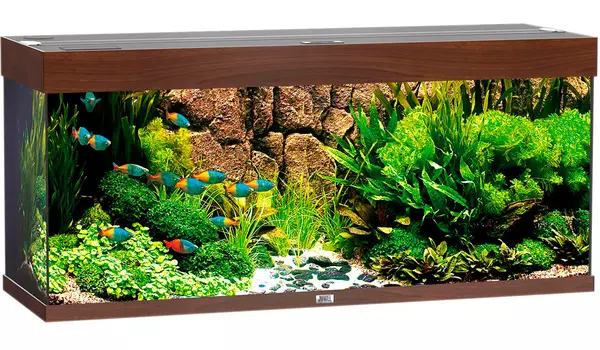 Аквариум Juwel Rio 240 Led 2х29W Bioflow M нагреватель 200w 121х41х55 темное дерево (1 шт)