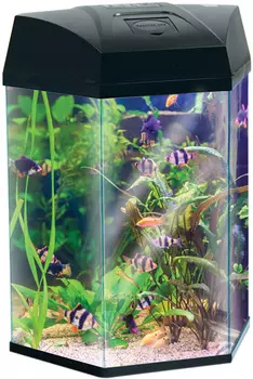 Аквариум Aa Aquarium Hexagon шестигранный 22 литра черный (1 шт)