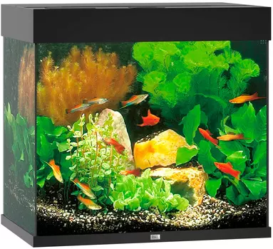 Аквариум Juwel Lido 120 Led 2х12W Bioflow M нагреватель 100w 61х41х58 черный (1 шт)