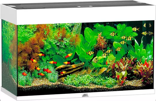 Аквариум Juwel Rio 125 Led 2х14W Bioflow M нагреватель 100w 81х36х50 белый (1 шт)