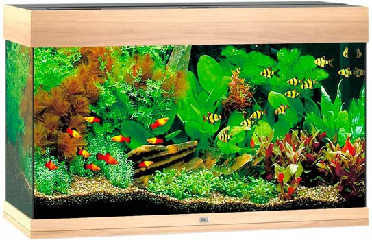 Аквариум Juwel Rio 125 Led 2х14W Bioflow M нагреватель 100w 81х36х50 светлое дерево (1 шт)