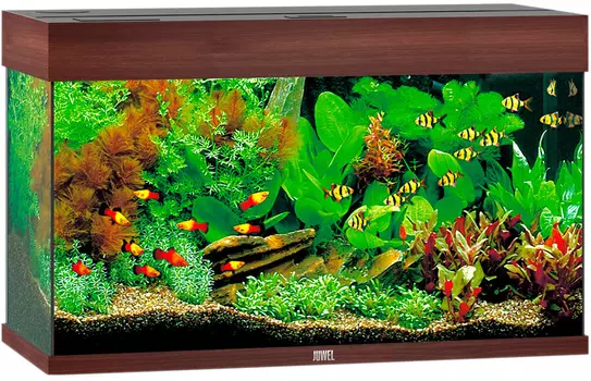 Аквариум Juwel Rio 125 Led 2х14W Bioflow M нагреватель 100w 81х36х50 темное дерево (1 шт)