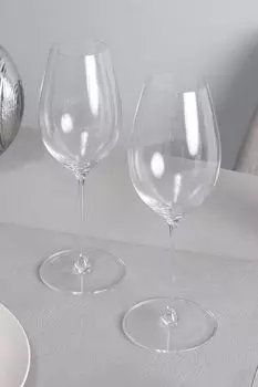 Набор из 2 хрустальных бокалов Performance Riedel