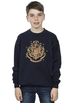 Золотая толстовка с гербом Хогвартса Harry Potter, темно-синий