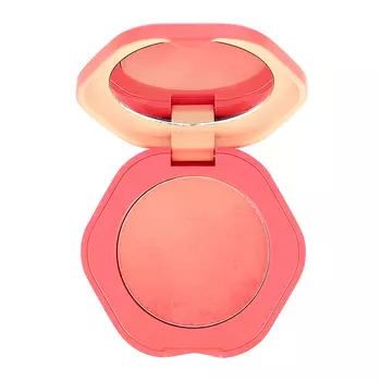 Румяна для лица NOVO GRADUALLY MACARONS BLUSH тон 02