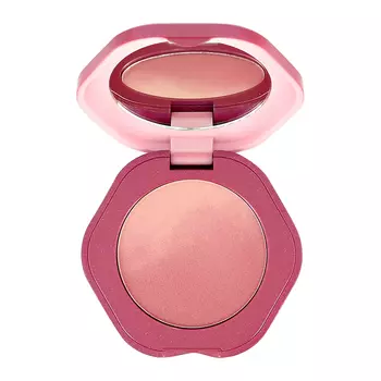 Румяна для лица NOVO GRADUALLY MACARONS BLUSH тон 04
