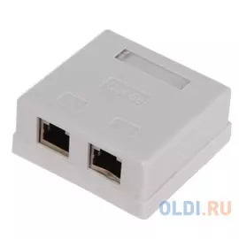 Розетка внешняя RJ-45 (FTP) 5E кат. двойная , экранированная TV-COM