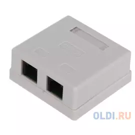 Розетка внешняя RJ-45 (UTP) 5E кат. двойная,TV-COM