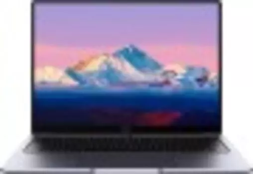 Ноутбук Huawei MateBook B5-430 (KLVDZ-WFE9) W10Pro Grey (53013FCQ)
