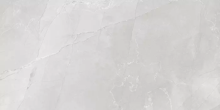 Керамогранит LCM Armani Marble 60120AMB15P Gray 60x120
