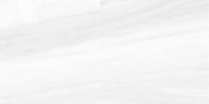 Керамогранит LCM Barcelo 60120BAL00P White 60x120