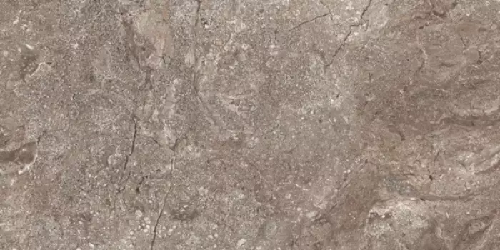 Керамогранит Leopard Stone Grey Polished 6405 60x120