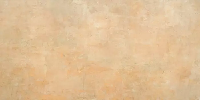 Керамогранит Naxos Pictura Canosa Soft Rett. 60x120