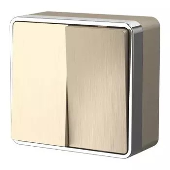 Выключатель двухклавишный Gallant (шампань рифленый) W5020010 Werkel