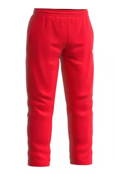 Мужские спортивные брюки Pros pants