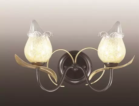 Настенное бра Odeon Light Anaba 2691/2W