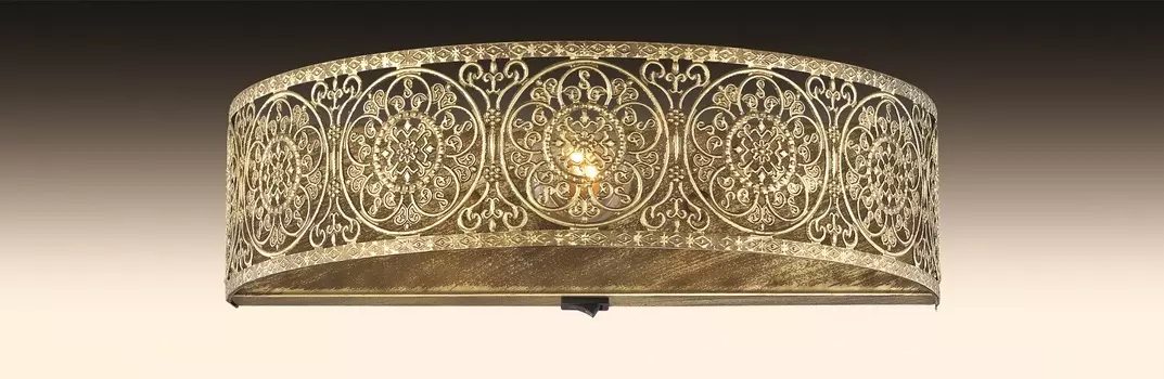 Настенное бра Odeon Light Aster 2782/1W