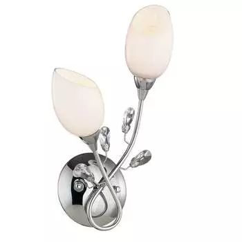 Настенное бра Odeon Light FIERA 1603/2W