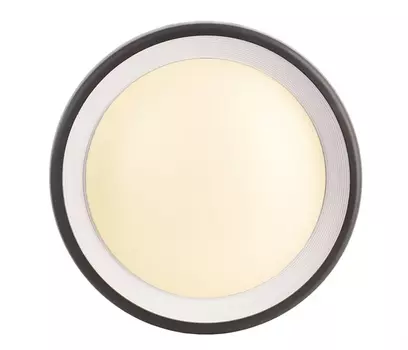Уличный настенный светильник Deko-Light Canis 731043