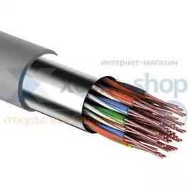 Кабель витая пара F/UTP 5 кат. 25 пар Rexant 01-1201 24AWG(0.50 мм), медь, одножильный (solid), внутренний, PVC, серый, уп/305м