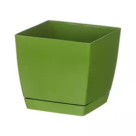 Кашпо Prosperplast coubi 10см оливковое