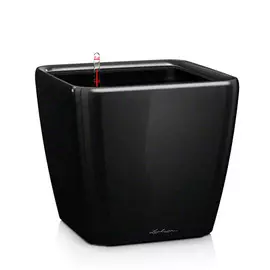 Кашпо с автополивом Lechuza Quadro LS 21 см Чёрное
