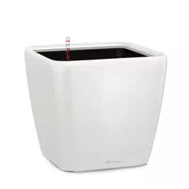 Кашпо с автополивом Lechuza Quadro LS белое 28х28х26 см
