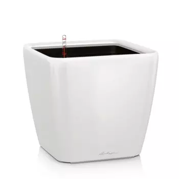 Кашпо с автополивом Lechuza Quadro LS 35 белое
