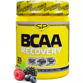 Напиток с аминокислотами BCAA RECOVERY, вкус «Лесные ягоды», 250 г, STEELPOWER