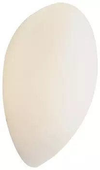 Настенный светильник Wertmark Globe WE211.01.001