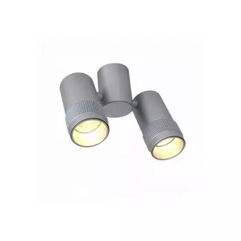 Спот Favourite Kinescope 2454-2U