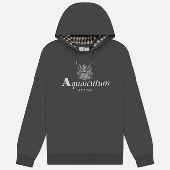 Мужская толстовка Aquascutum Active Big Logo Raglan Hoodie, цвет серый, размер S