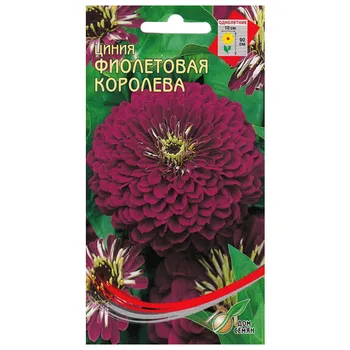 семена Цинния Фиолетовая Королева ДОМ СЕМЯН 0,42г