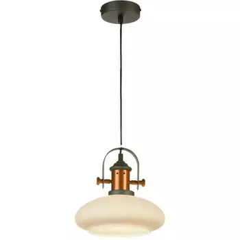 Светильник подвесной ST Luce Sotto SLD982.303.01