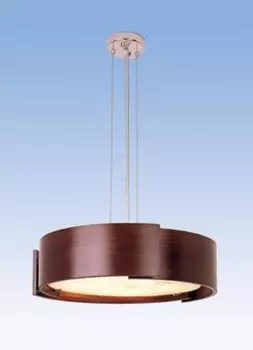 Светильник подвесной ST Luce ST-7018/5P-B