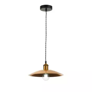 Светильник подвесной ST Luce Romo SL1017.203.01