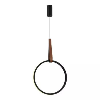 Светильник подвесной ST Luce Shape SL6131.403.20