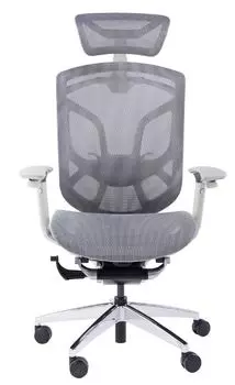 Кресло GT Chair Dvary X цвет: серый