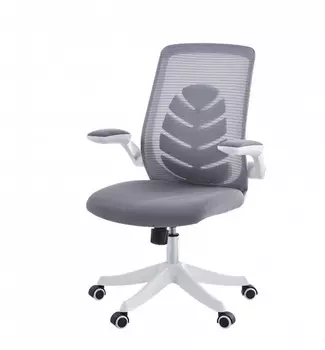 Кресло офисное Chairman CH565 7146049 белый пластик, серый
